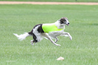 1 Prelims Fch, Finnegan Joker-9446