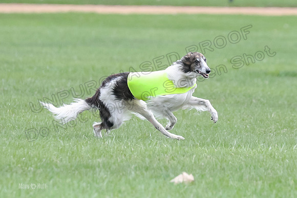 1 Prelims Fch, Finnegan Joker-9446