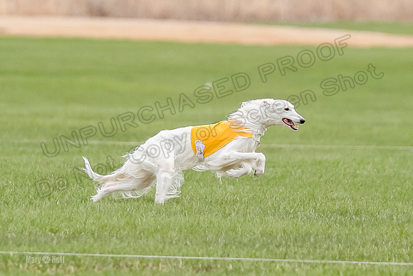 2 Finals Fch, Joker Finnegan-0110