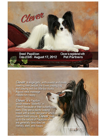 Clair Therapy Calling Card