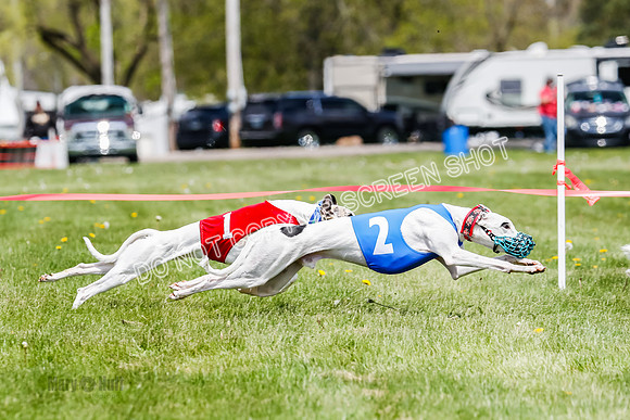NOTRA Program 3, Race 3, Eddie Elvis Picanha Coyote-2-28