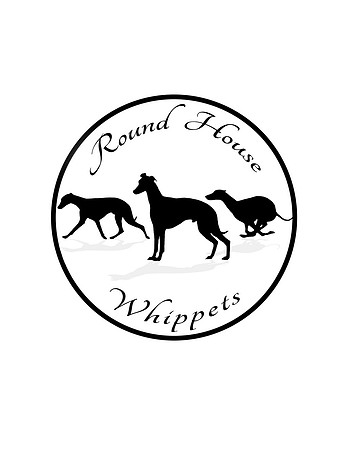 Krieger Logo