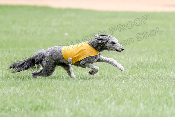1 Prelims LCI Ellie-0022
