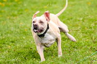 FCE4I8997