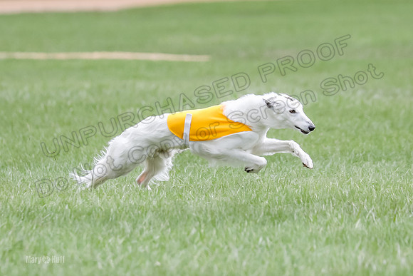 1 Prelims Silken Singles Arthur-9854