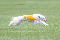 1 Prelims Silken Singles Arthur-9855