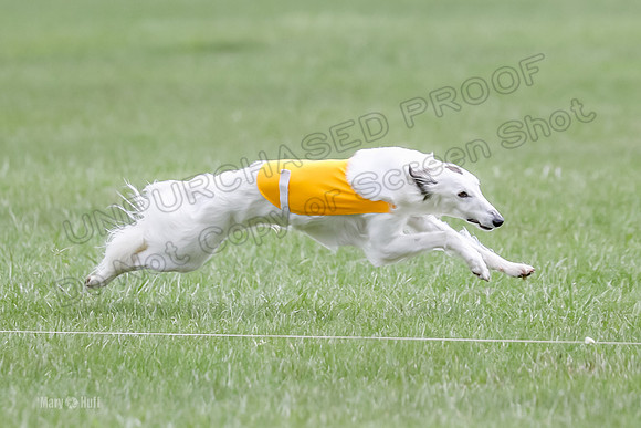 1 Prelims Silken Singles Arthur-9855