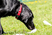 AE4I3036