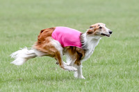 1 Prelims Silken Singles Charlie-9888