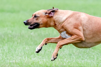 AE4I7186