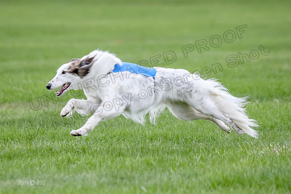 2 Finals Silken Singles Max-0543