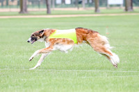 1 Prelims Borzoi Open, Bene-9203