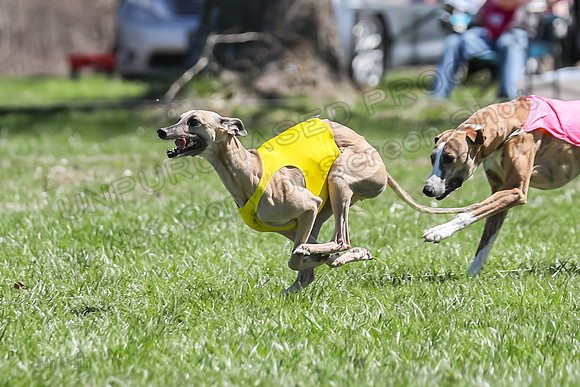 3 Finals Fch A-2, Justice Patron Thor-4988