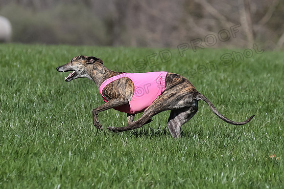 1 Prelim Fch B-5, Sealli Janey-3703