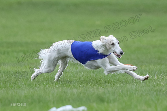 2 Finals Silken Singles Ripley-0487