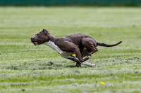 Cat Test 2-0842