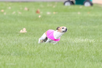 1 Prelims LCI Rocki Girl-9732