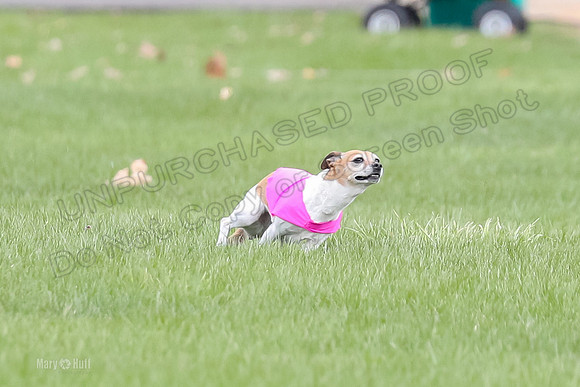 1 Prelims LCI Rocki Girl-9732