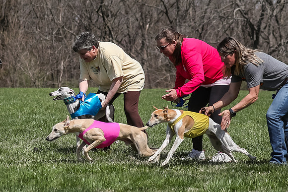 2 Finals Open D-5, Bee Riptide Bobbi-9621