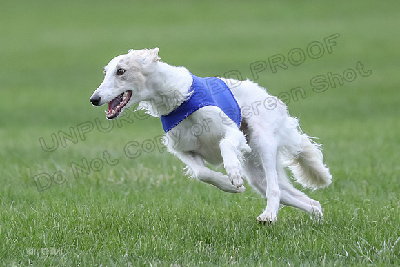 2 Finals Silken Singles Ripley-0492