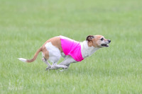 1 Prelims LCI Rocki Girl-9738