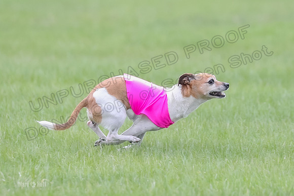 1 Prelims LCI Rocki Girl-9738