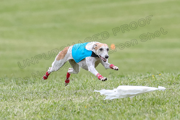 Finals Vets 4, Parker Marley Brag-2391