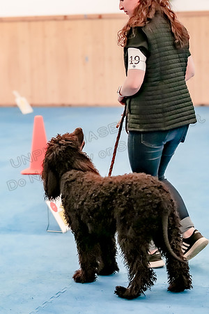 Rally Intermediate-3617