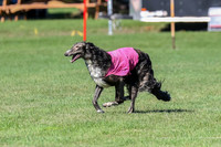 Prelim, Vera-Rainbow-3536