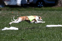 ASFA Run-Offs, BOB