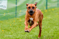 AE4I1015