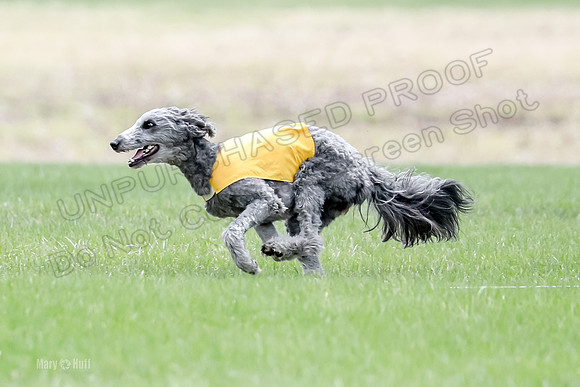 1 Prelims LCI Ellie-0032