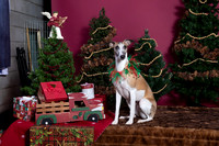 xmas strack-409
