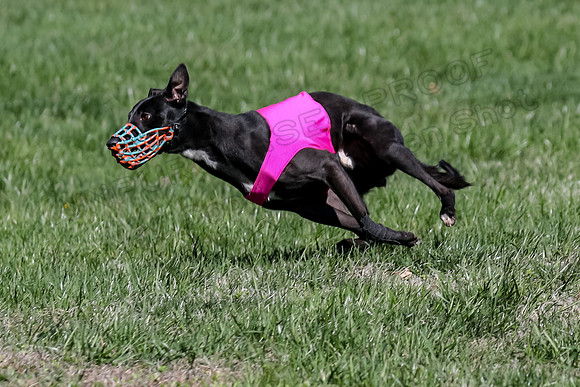 1 Prelims Singles, 2 Snoop-3855