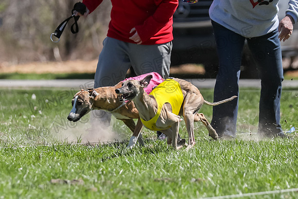 3 Finals Fch A-2, Justice Patron Thor-4981