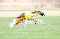 1 Prelims Borzoi Open, Bene-9190
