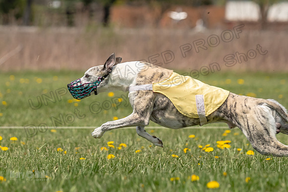 Finals Open F4 Easy Fenn Ace-3962
