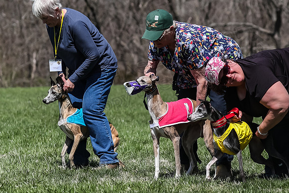2 Finals Veterans A-4, Winnie Sonny Karmen-0970