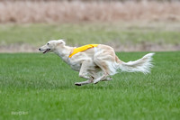 1 Prelims Silken Singles Isaly-9787