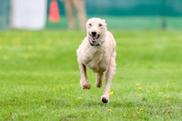 FCE4I9236
