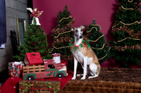 xmas strack-408