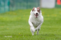 FCE4I7957