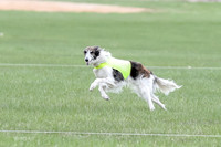 1 Prelims Fch, Finnegan Joker-9464