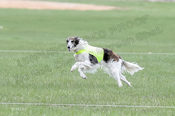 1 Prelims Fch, Finnegan Joker-9464