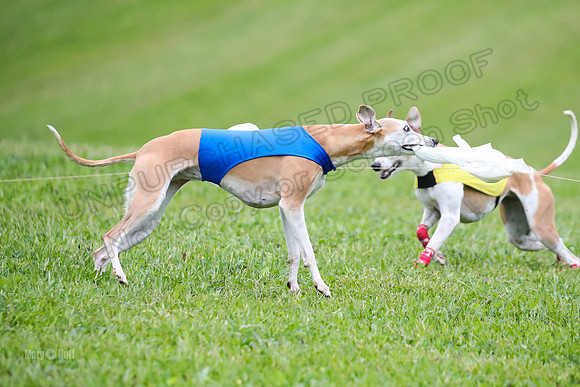 Prelim Open E2, Riddle Finely Scarlet-4911
