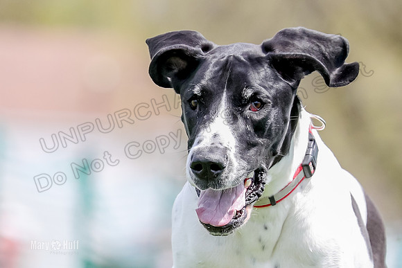AE4I3219
