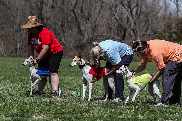 2 Finals Veterans A-2, Suni Mudbug Seven-0882