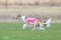 1 Prelims Silken Singles Charlie-9894