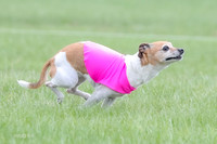 1 Prelims LCI Rocki Girl-9735