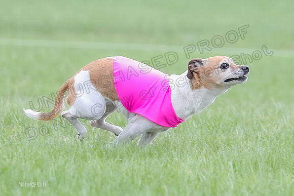1 Prelims LCI Rocki Girl-9735